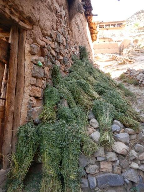 Tadghouit. Aldeas del Valle Aït Bouguemez. Marruecos