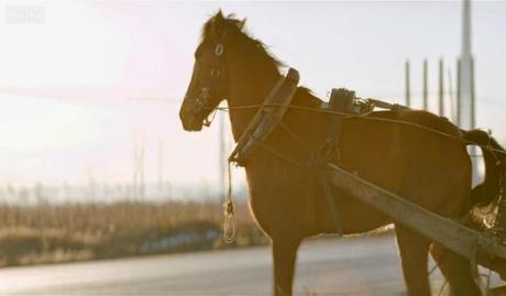 A Touch of Sin - 2013 A Touch of Sin - 2013