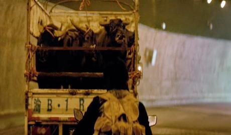 A Touch of Sin - 2013 A Touch of Sin - 2013