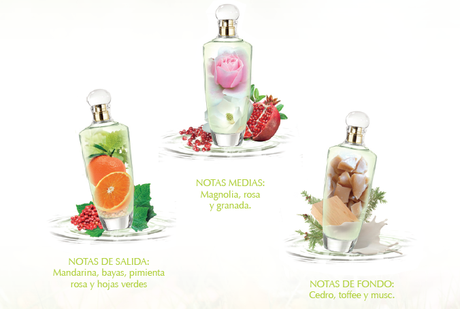 Victorio&Lucchino presenta Idilio de Magnolia Victorio&Lucchino presenta Idilio de Magnolia