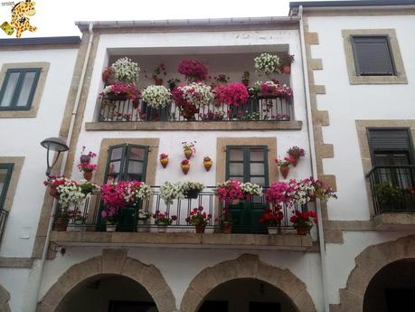 Senderismo en Lugo: de Barbadelo a Mercadoiro