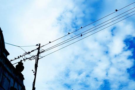 FIB FIB-Floral_Skirt-Urban_Outfitters-Ugly_Shoes-4412