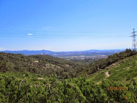 Gavá - Sant Martí de Porres - Gavá  15/06/2014