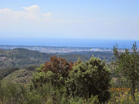 Gavá - Sant Martí de Porres - Gavá  15/06/2014