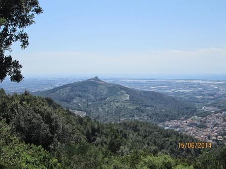 Gavá - Sant Martí de Porres - Gavá  15/06/2014