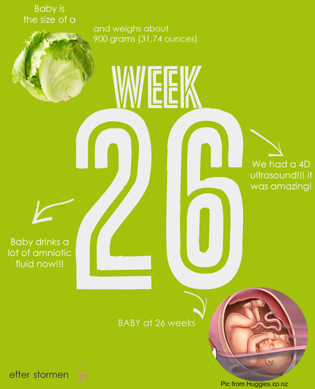 Semana 26 Embarazo | Week 26 Pregnancy