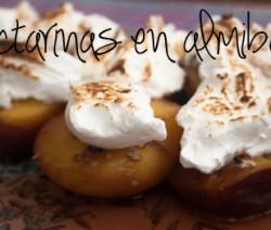 Nectarinas en almíbar nectari01