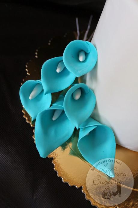 VIVAN LOS NOVIOS! VIVAN LOS NOVIOS!