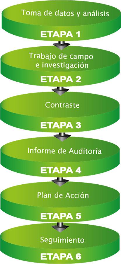 ¿Qué contenidos deben incluir las consultorías de marketing en una auditoría? Etapas Auditoría de Marketing