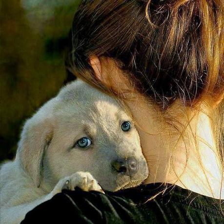 Tu amor me hace tanto bien Tu amor me hace tanto bien