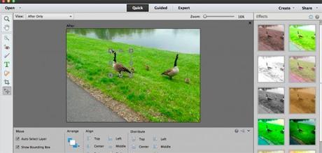 3 Herramientas para la Edición de Imágenes Photoshop Elements Editor de Imágenes