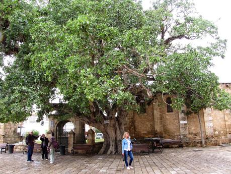 República Turca de Chipre - Famagusta