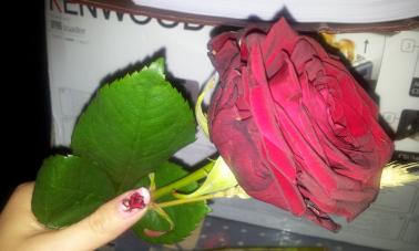 ¡Feliz Sant Jordi 2014! + Huelga Fnac rosa-nailart