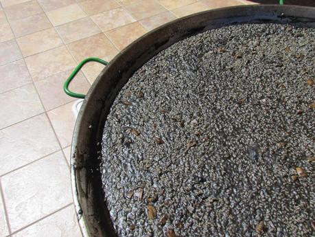 Arroz negro en paella (traditional black rice paella,  mediterranean style)