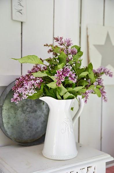 UNA CABAÑA EN EL ÁRBOL UNA CABAÑA EN EL ÁRBOL