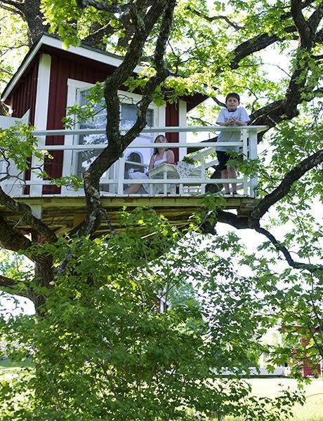 UNA CABAÑA EN EL ÁRBOL UNA CABAÑA EN EL ÁRBOL