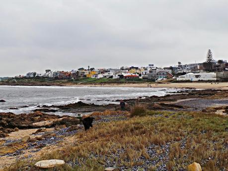 Punta del Este y alrededores