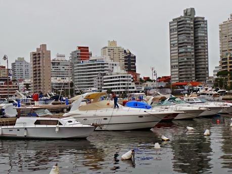 Punta del Este y alrededores