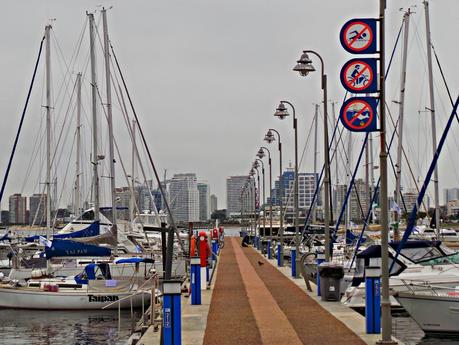 Punta del Este y alrededores