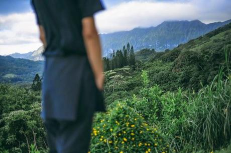 Qué Debe tener el Hombre que se Venga Conmigo a Kauai