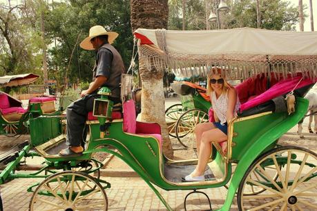 JARDÍN MAJORELLE JARDÍN MAJORELLE