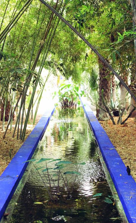 JARDÍN MAJORELLE JARDÍN MAJORELLE