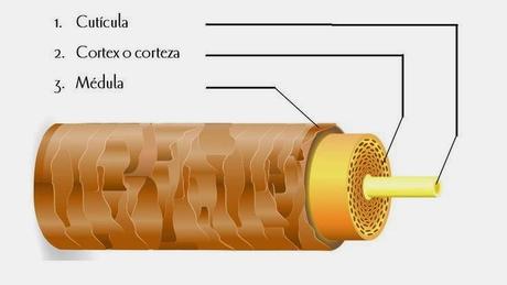 ¿Cómo mantener el color de tu cabello?