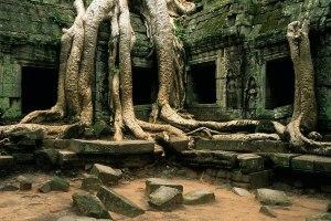 Ciudades perdidas donde a Indiana Jones (y a mi) le gustaría perderse La ciudad que se la trago la selva