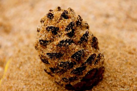 Hoy Compartimos: Días de Ocio Hoy Compartimos: Días de Ocio