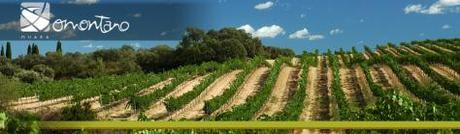 SOMONTANO Y MADRID UNIDAS POR EL “A.V.E. DEL VINO” ¡Enoturismo sin coche, ideal! somontano