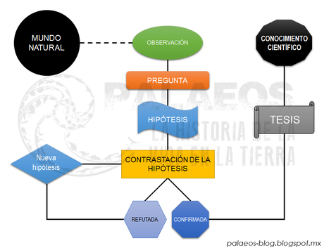 Terminología científica 101