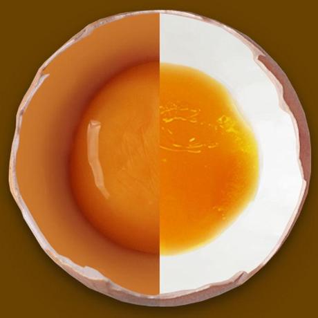 Eggmaster - Consigue los mejores huevos cocidos