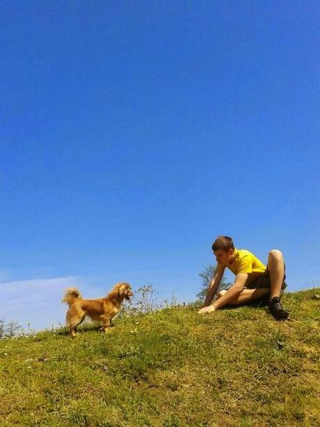 El carácter emocional de la llamada en el perro El carácter emocional de la llamada en el perro