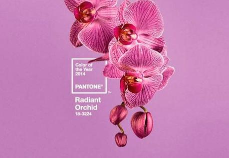 color pantene radiant orchid