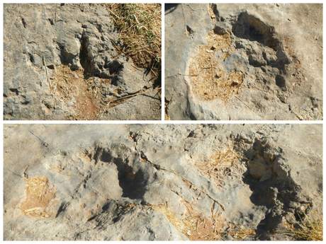 Huellas de dinosaurios en Ibaqalliwn. Aldeas del valle Aït Bouguemez