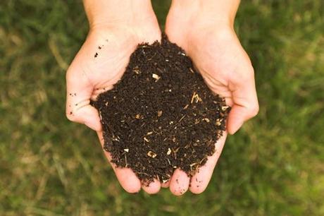 Abono orgánico. Cómo obtener un buen compost