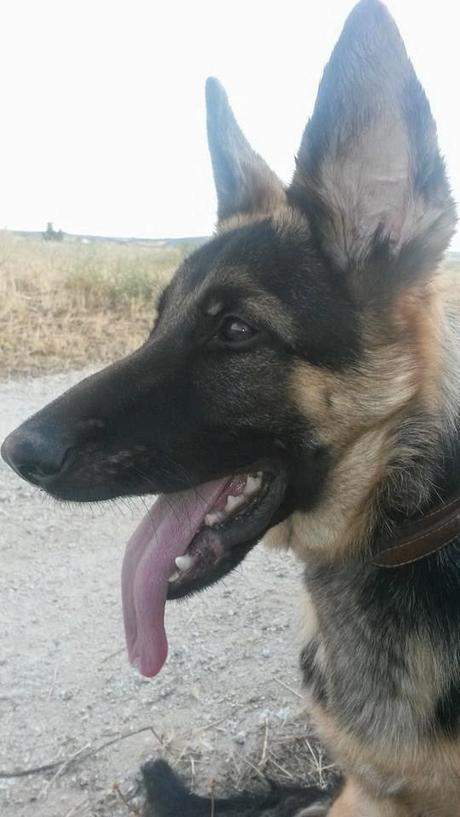 Ayuda para Lenny Ayuda para Lenny