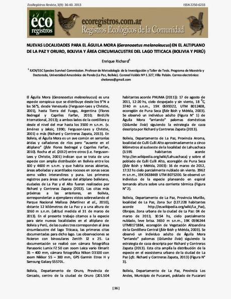 Nuevas localidades para el Águila Mora (Geranoaetus melanoleucus) en el altiplano de La Paz y Oruro, Bolivia y área circumlacustre del lago Titicaca (Bolivia y Perú). E. Richard. 2013