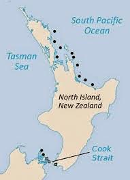 La tuátera, el reptil de los tres ojos La tuátera, el reptil de los tres ojos