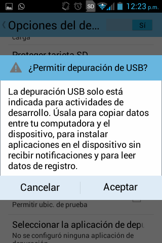 Confirmación Depuración de USB
