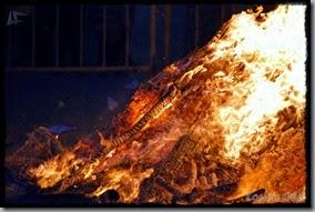 Hoguera_San_Juan (31) Hoguera_San_Juan (31)