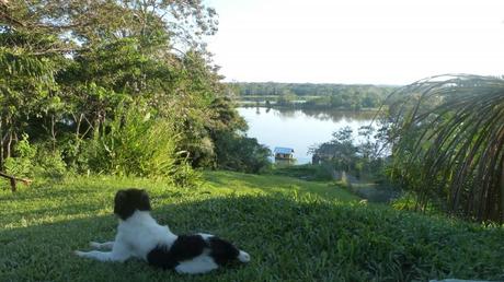 Contemplando el atardecer en Puerto Nariño