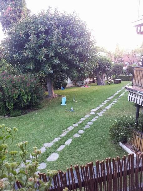 El Pollosaurio. El Pollosaurio.