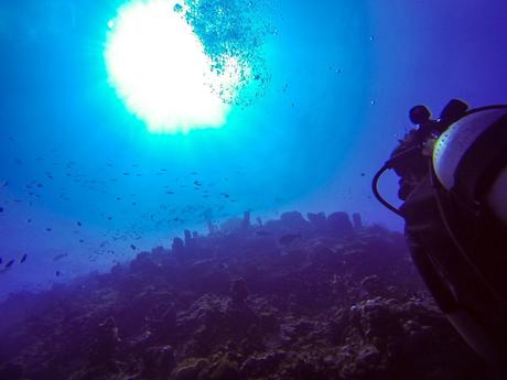 Diving en Una-Una (cortesía de Juan)