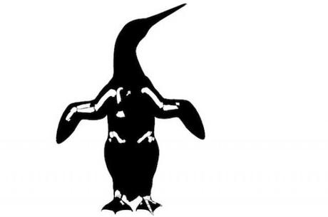 Palaeeudyptes klekowskii Palaeeudyptes klekowskii