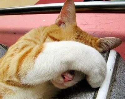 Lo que Nadie quiere Ver Lo que Nadie quiere Ver