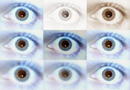 Lo que Nadie quiere Ver Lo que Nadie quiere Ver