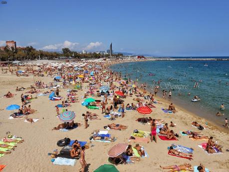 UN DÍA DE PLAYA ESTUPENDO, EN LA BARCELONETA...3-08-2014...!!! UN DÍA DE PLAYA ESTUPENDO, EN LA BARCELONETA...3-08-2014...!!!