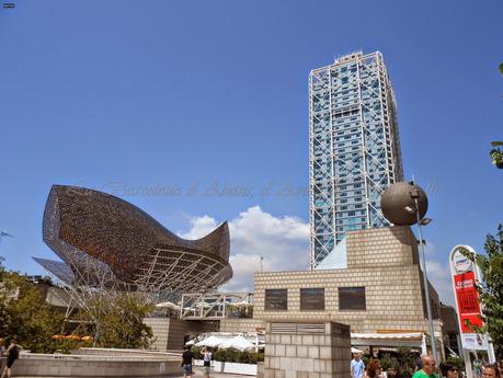 UN DÍA DE PLAYA ESTUPENDO, EN LA BARCELONETA...3-08-2014...!!! UN DÍA DE PLAYA ESTUPENDO, EN LA BARCELONETA...3-08-2014...!!!