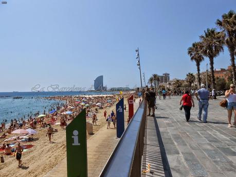 UN DÍA DE PLAYA ESTUPENDO, EN LA BARCELONETA...3-08-2014...!!! UN DÍA DE PLAYA ESTUPENDO, EN LA BARCELONETA...3-08-2014...!!!